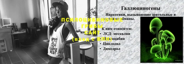 мет Арсеньев