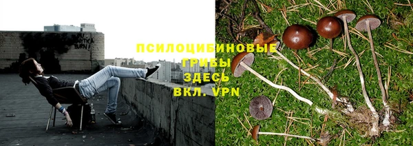мет Арсеньев