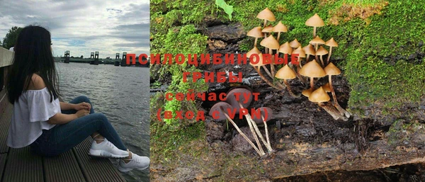мет Арсеньев