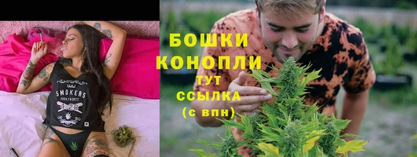 мет Арсеньев