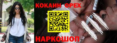 сатива Кандалакша
