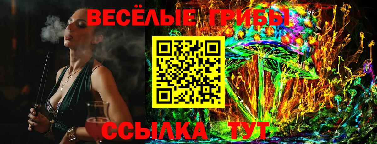 Псилоцибиновые грибы прущие грибы Тобольск