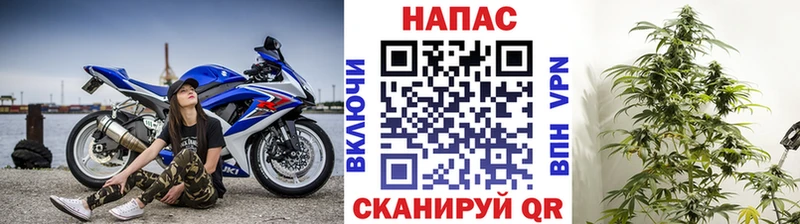 купить   Тобольск  Шишки марихуана планчик 